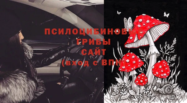 ECSTASY Алексин