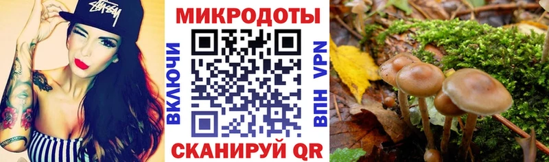 где продают наркотики  Камень-на-Оби  Галлюциногенные грибы GOLDEN TEACHER 