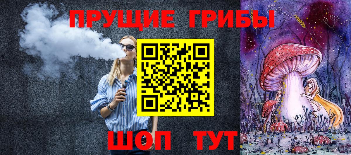 Камень-на-Оби  Псилоцибиновые грибы Cubensis  Вход с VPN 